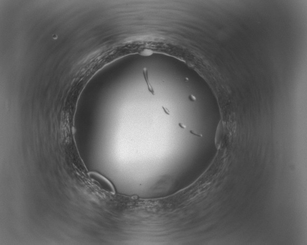 X0000078281062200611031202