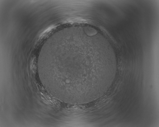 X0000078281063200611031202