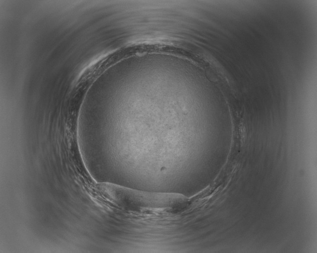 X0000078281064200611031202