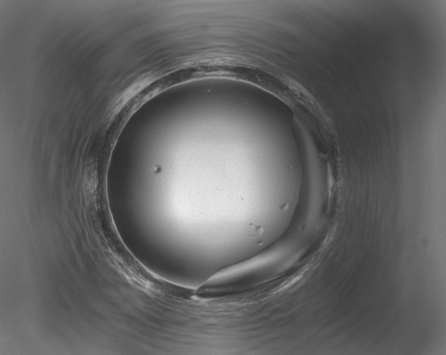 X0000078281065200611031202