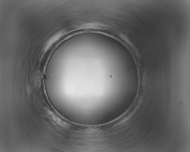 X0000078281067200611031202