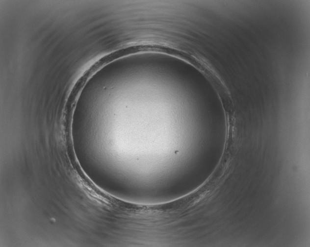 X0000078281068200611031202