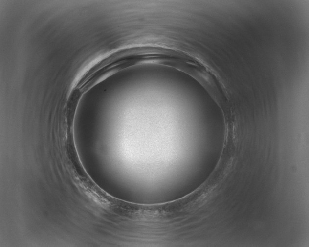 X0000078281069200611031202