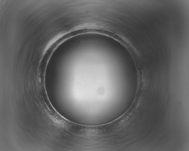 X0000078281070200611031202