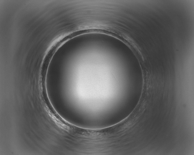 X0000078281072200611031202