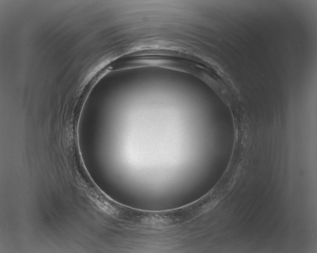 X0000078281073200611031202