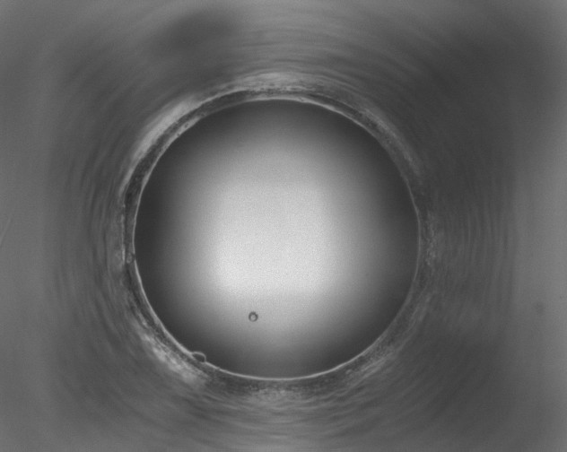 X0000078281075200611031202