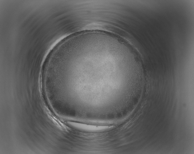 X0000078281076200611031202