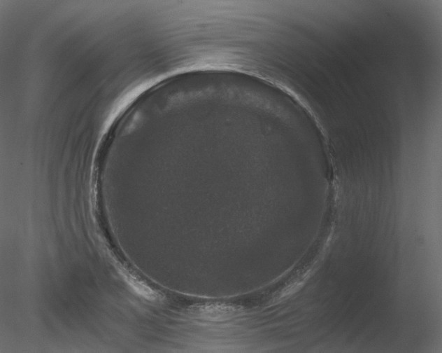 X0000078281077200611031202