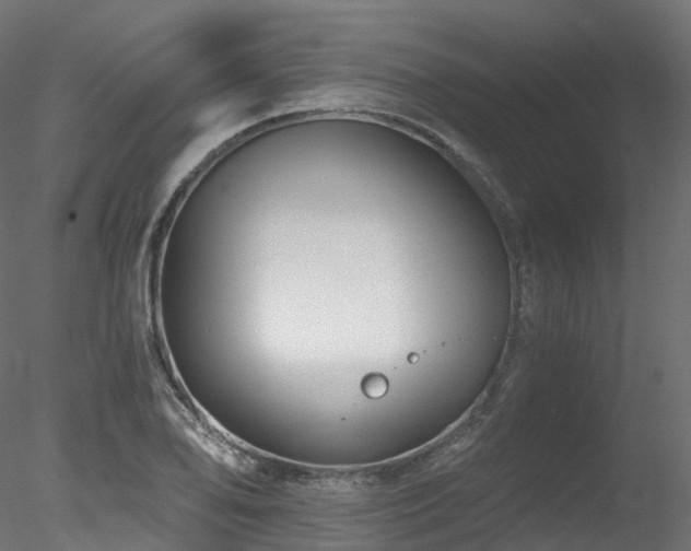 X0000078281078200611031202