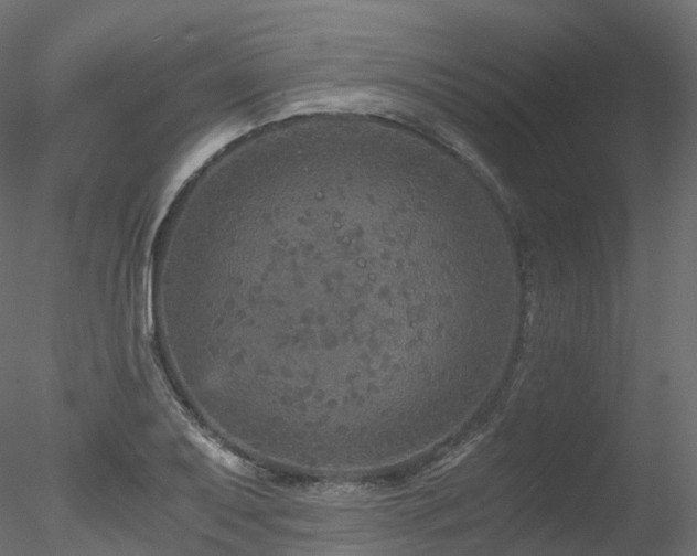 X0000078281079200611031202