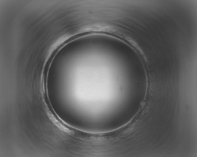 X0000078281080200611031202