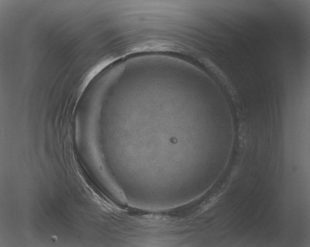 X0000078281081200611031202