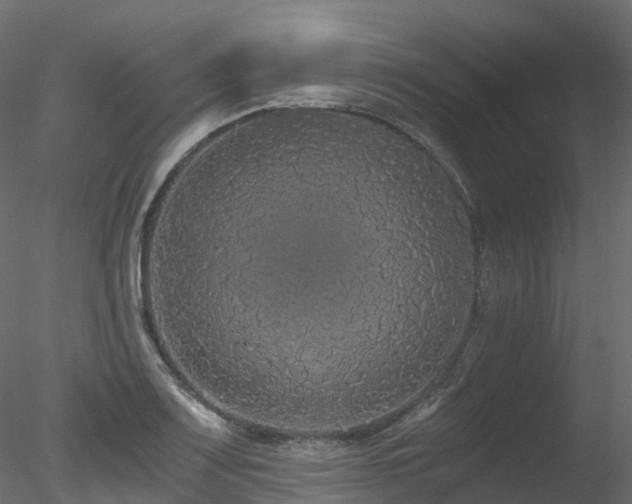 X0000078281083200611031202