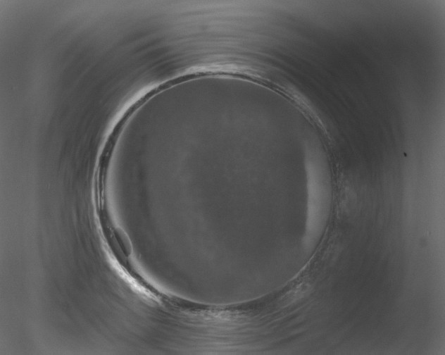 X0000078281084200611031202