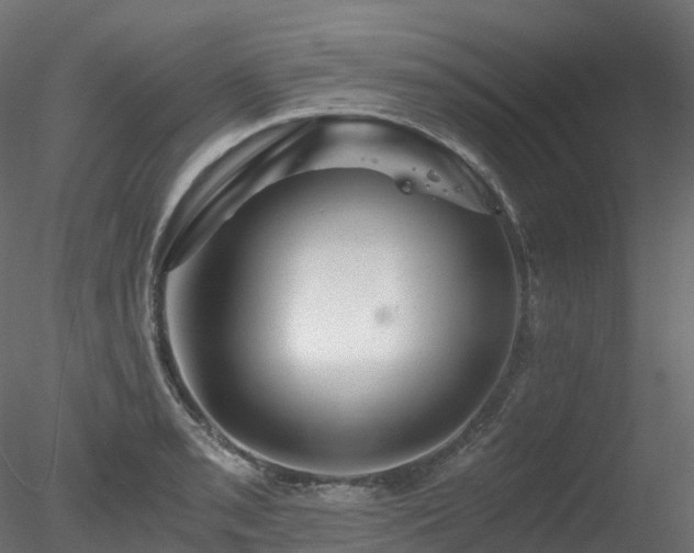 X0000078281085200611031202