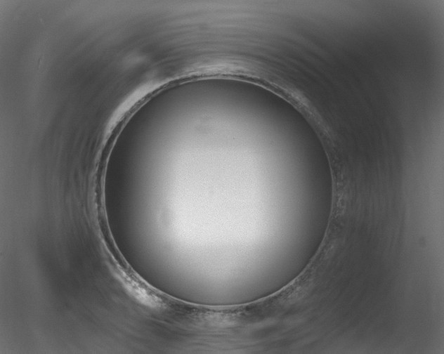 X0000078281086200611031202