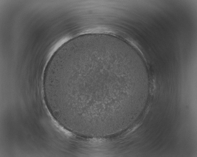 X0000078281087200611031202