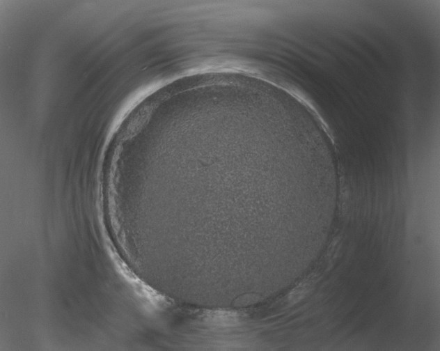 X0000078281088200611031202