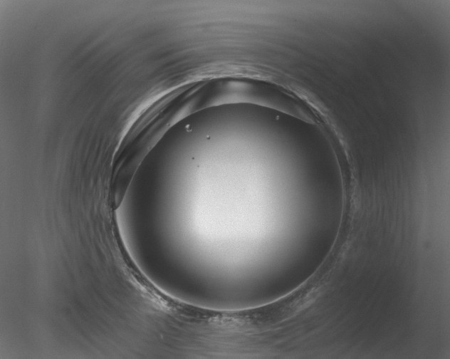 X0000078281089200611031202