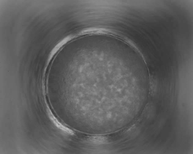 X0000078281090200611031202