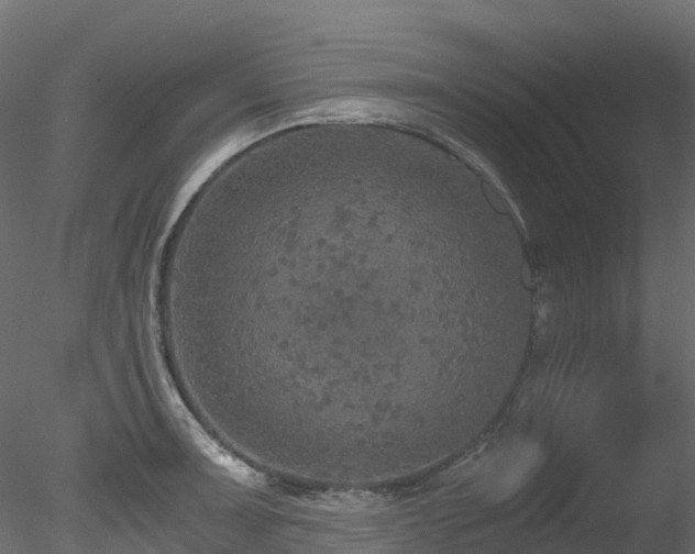 X0000078281091200611031202