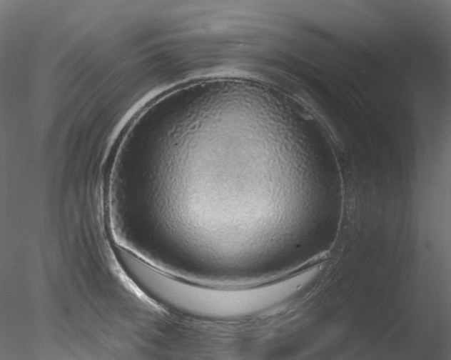 X0000078281092200611031202