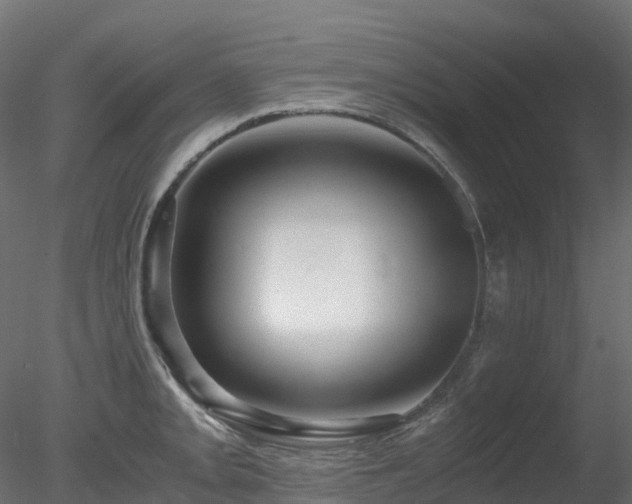 X0000078281093200611031202