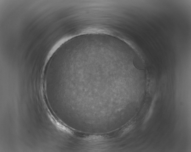 X0000078281094200611031202