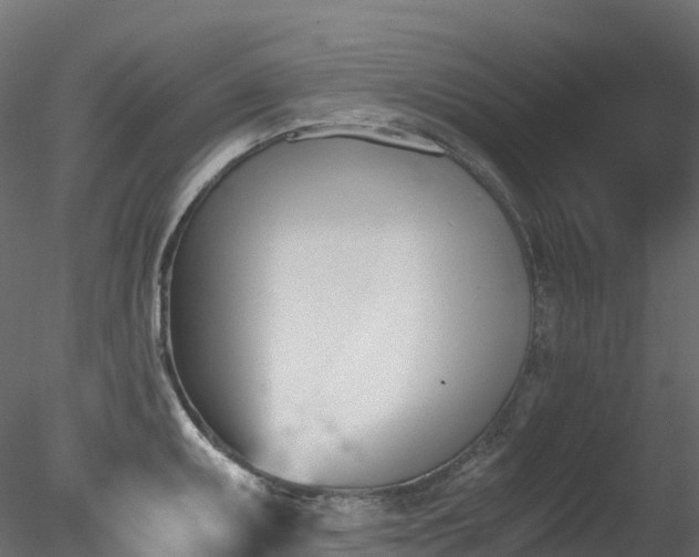 X0000078281095200611031202