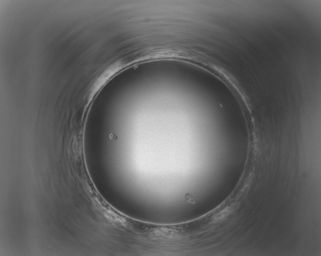 X0000078281097200611031202