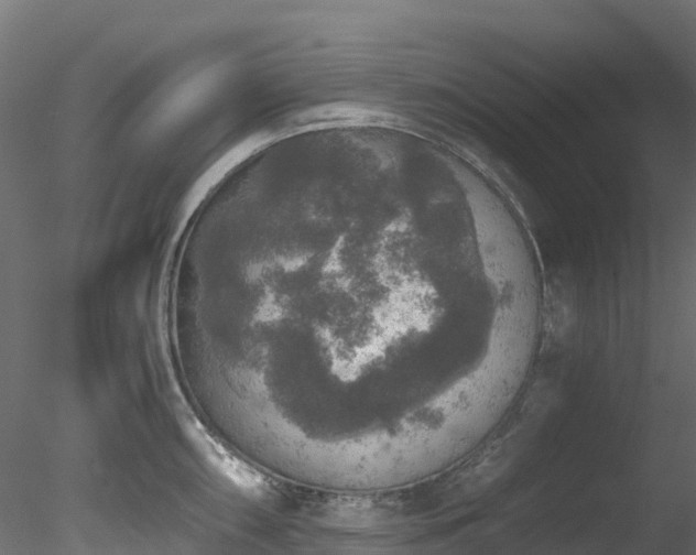 X0000078281098200611031202