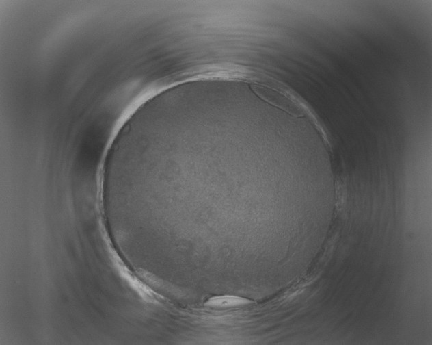 X0000078281099200611031202