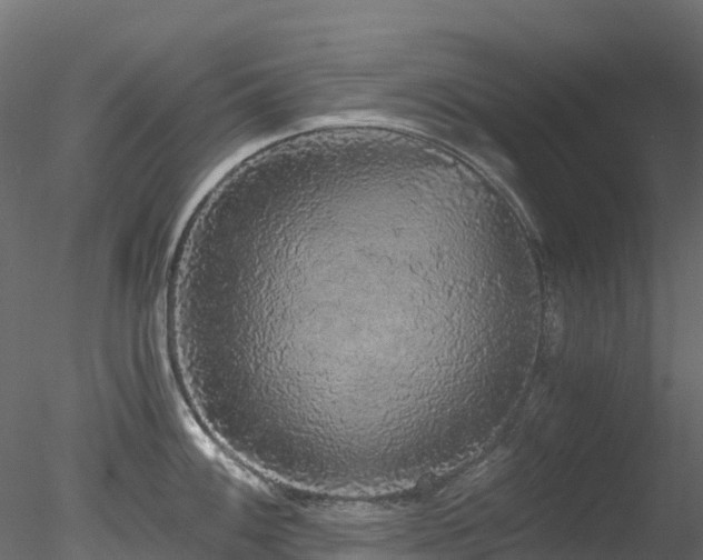 X0000078281100200611031202