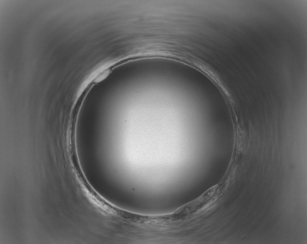 X0000078281101200611031202