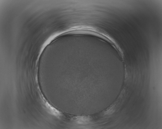 X0000078281102200611031202