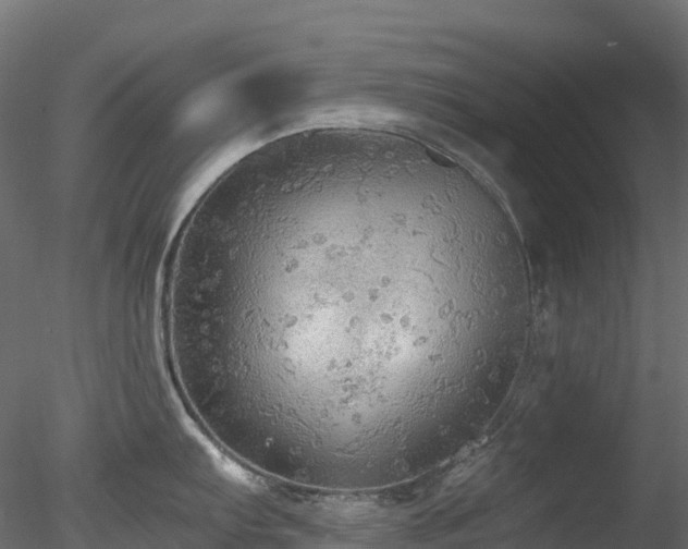 X0000078281103200611031202