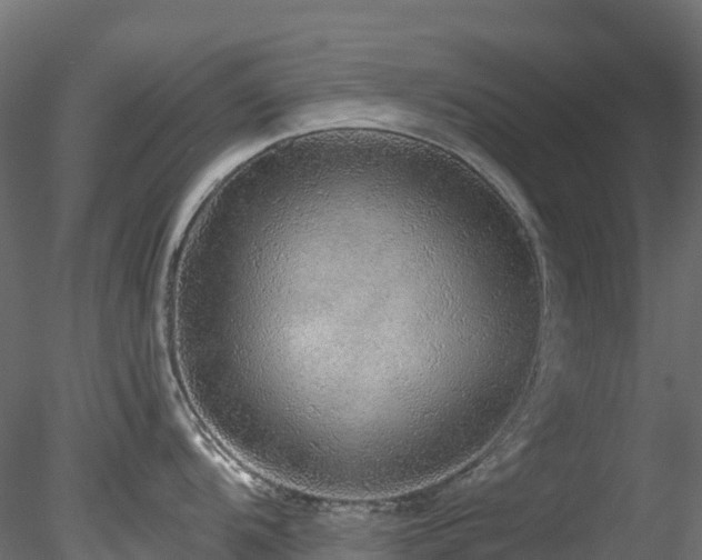 X0000078281104200611031202