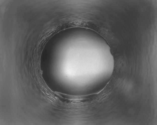 X0000078281105200611031201