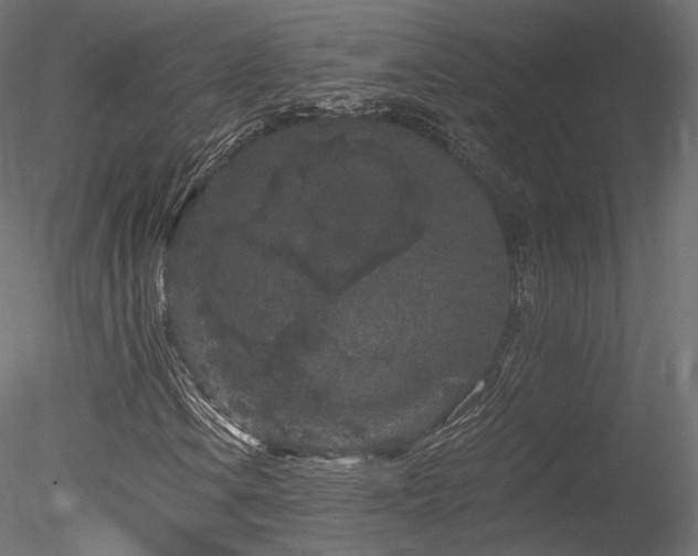 X0000078281106200611031201