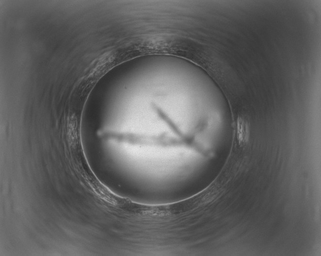 X0000078281107200611031201