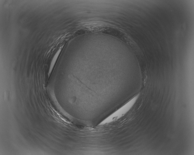 X0000078281108200611031201