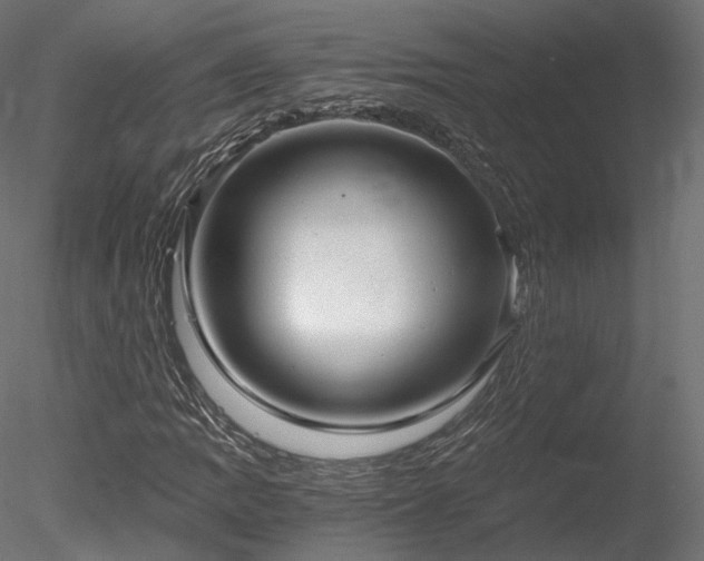 X0000078281109200611031201