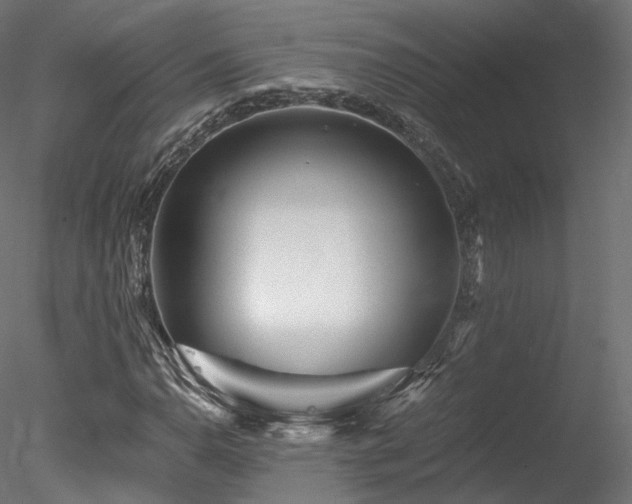 X0000078281110200611031201