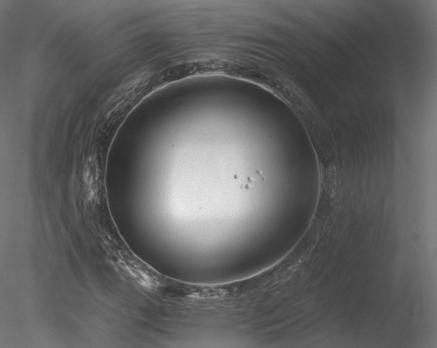 X0000078281111200611031201