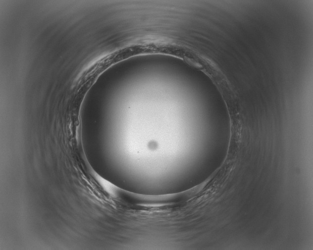 X0000078281112200611031201