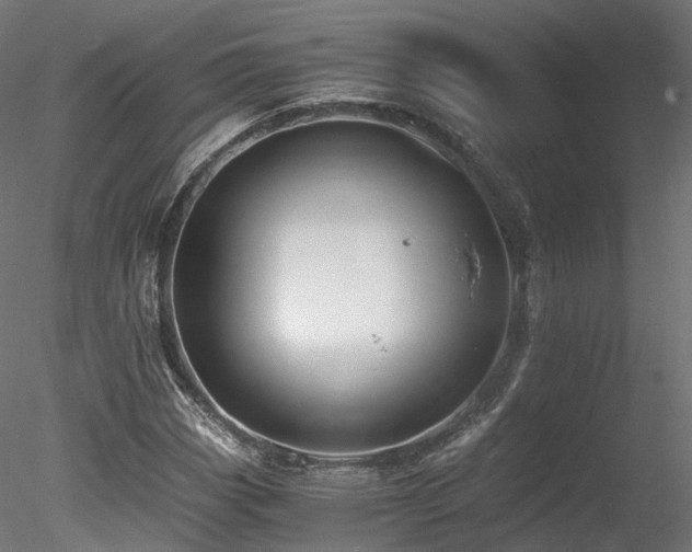 X0000078281113200611031201