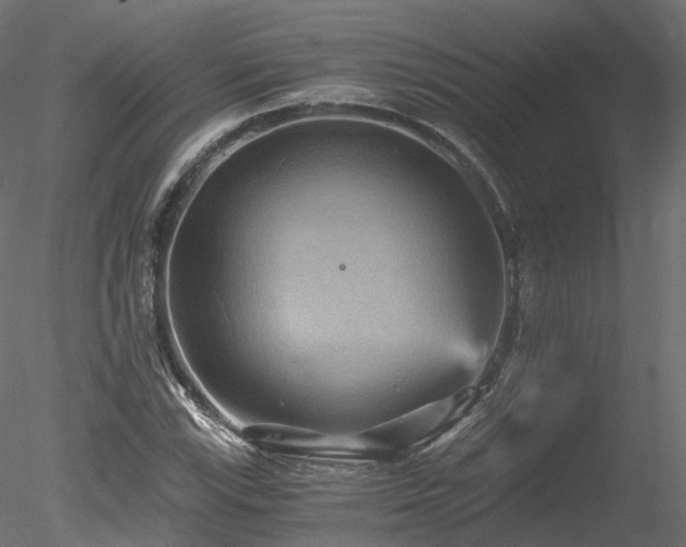 X0000078281115200611031201