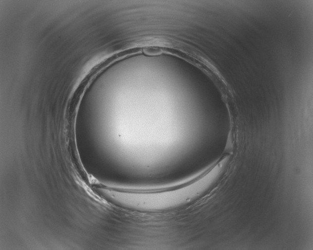 X0000078281116200611031201