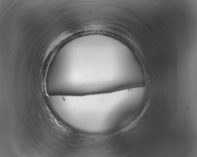 X0000078281117200611031201